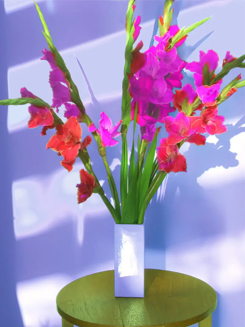 Midday Gladiolus - JG Contemporary Barbara Mullarney Wright Original Art