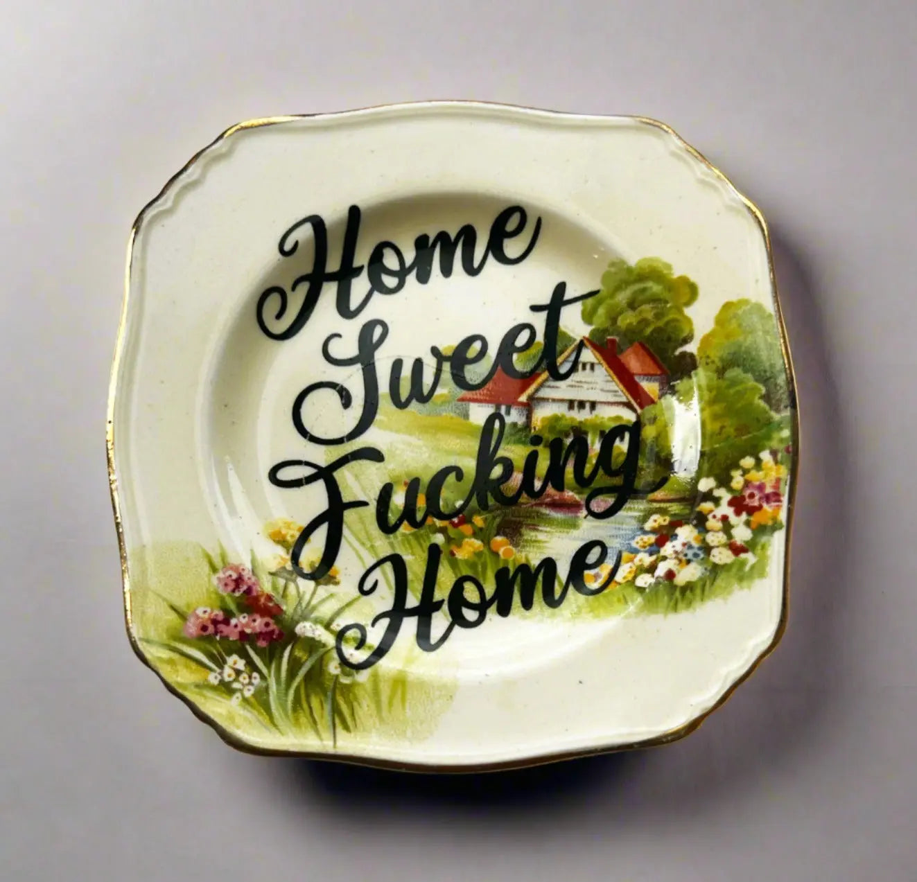 Home Sweet Fucking Home - JG Contemporary  Carrie Reichardt Original Art
