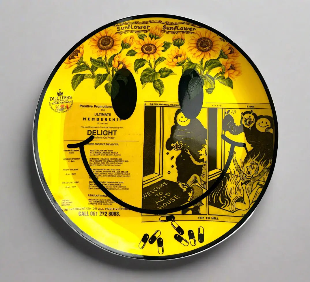 Welcome to Acid House - JG Contemporary  Carrie Reichardt Artwork