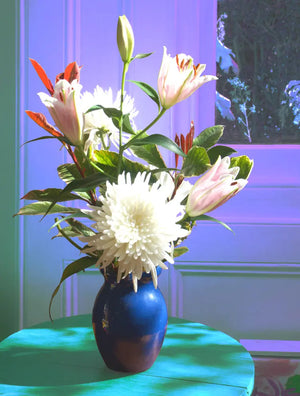 Night Chrysanthemums