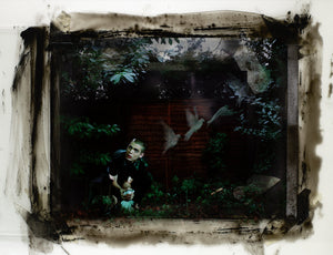 Descriptive image text