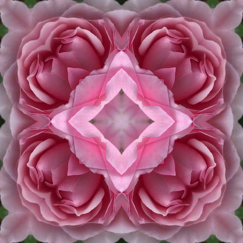 Advent by Jo Holland - JG Contemporary  Jo Holland Print